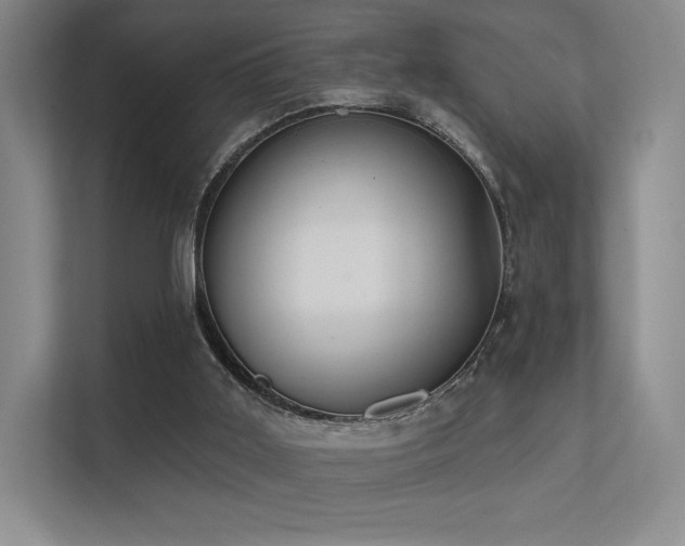 X0000113200011200909101121