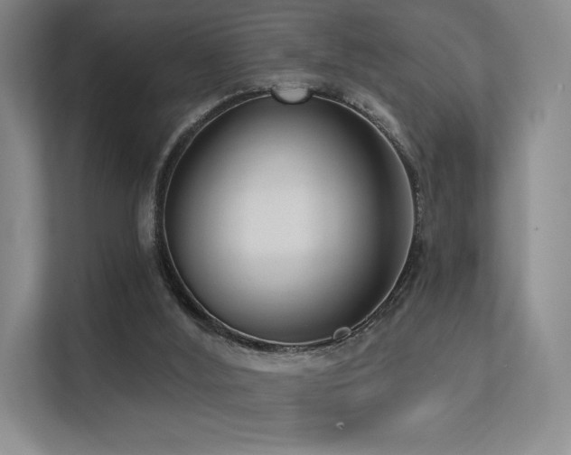 X0000113200012200909101121