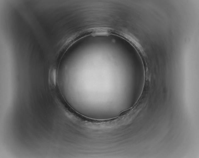 X0000113200013200909101121