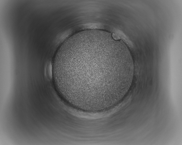 X0000113200014200909101121