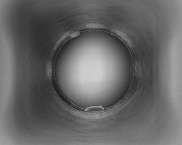 X0000113200015200909101121