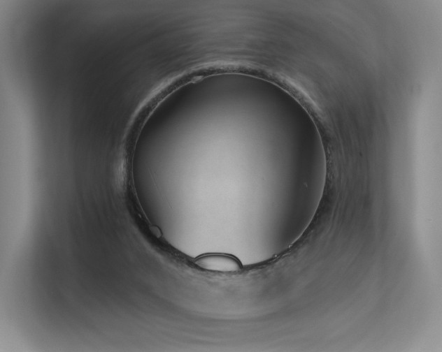 X0000113200016200909101121