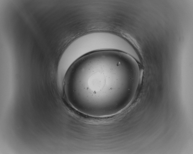 X0000113200017200909101121