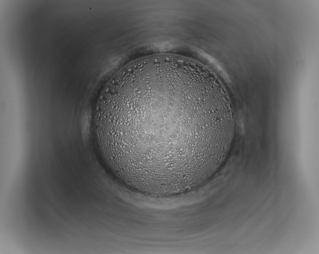 X0000113200018200909101121