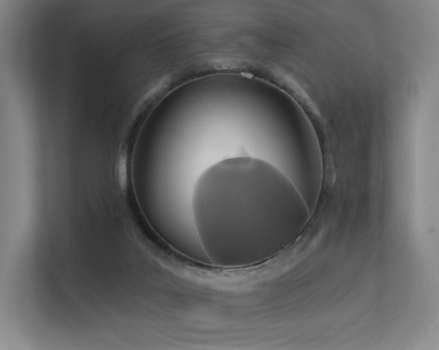 X0000113200019200909101121