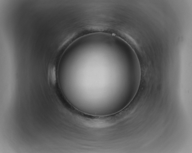 X0000113200020200909101121