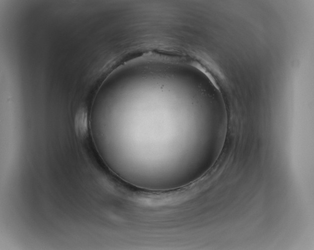 X0000113200021200909101121