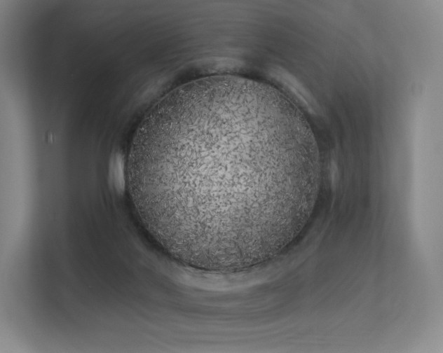 X0000113200022200909101121