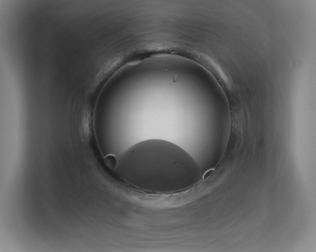 X0000113200023200909101121