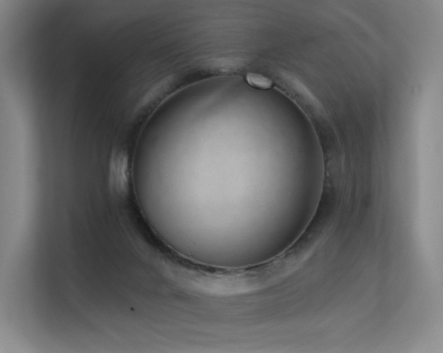 X0000113200024200909101121