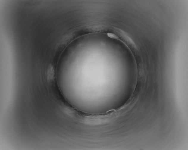 X0000113200025200909101121