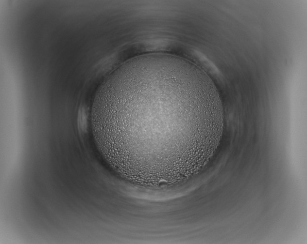 X0000113200026200909101121