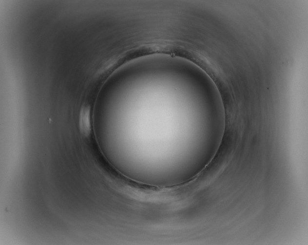 X0000113200028200909101121