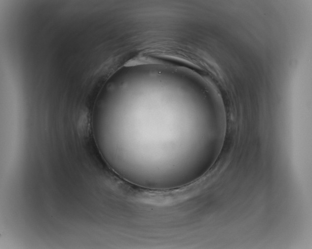 X0000113200029200909101121