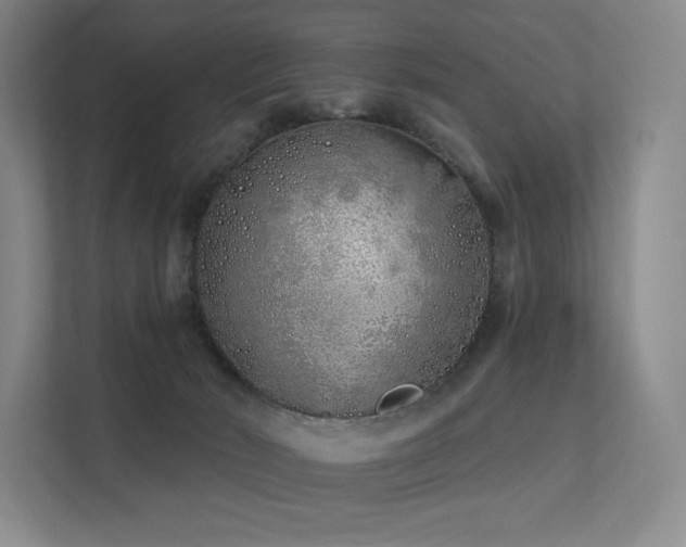 X0000113200030200909101121