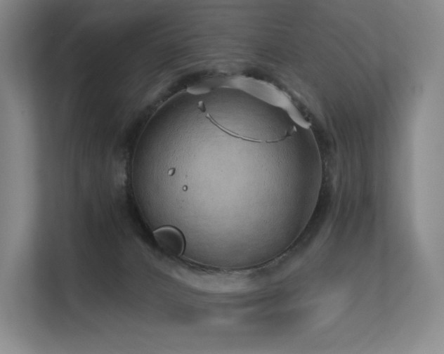 X0000113200032200909101121