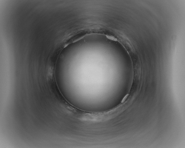 X0000113200033200909101121