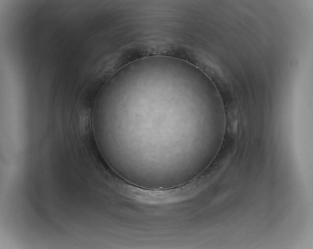 X0000113200034200909101121