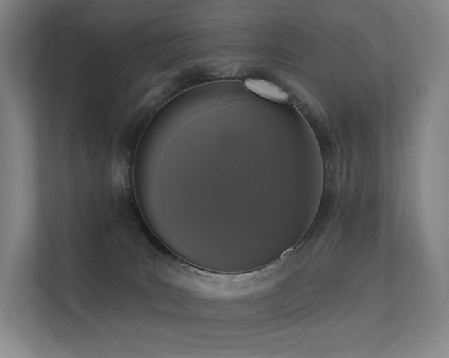 X0000113200035200909101121