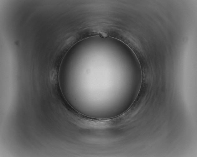 X0000113200036200909101121