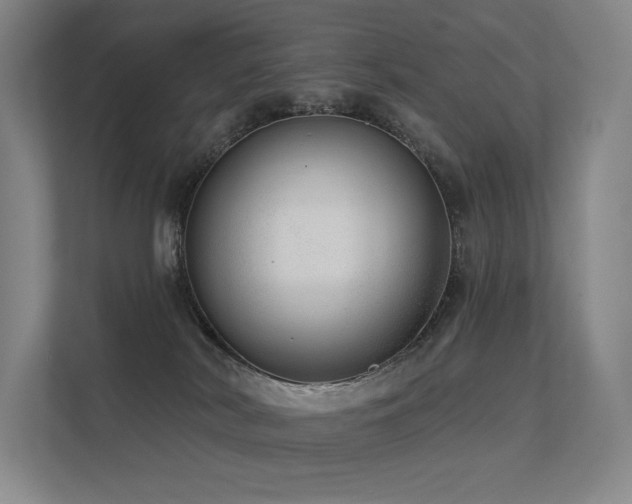 X0000113200038200909101121