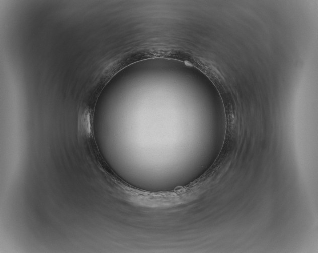 X0000113200042200909101121