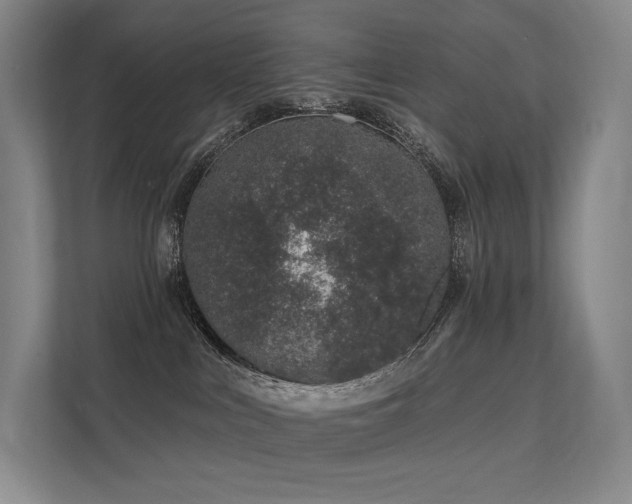 X0000113200043200909101121