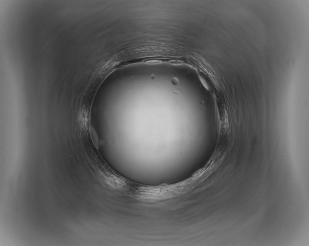 X0000113200045200909101120