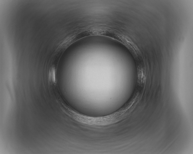 X0000113200046200909101120