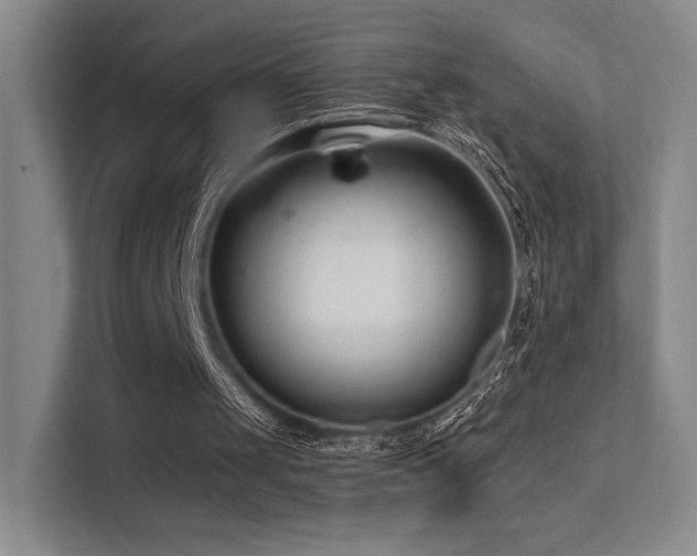 X0000113200049200909101120