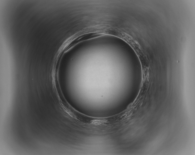 X0000113200051200909101120