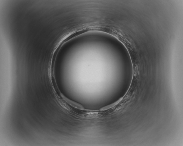 X0000113200052200909101120