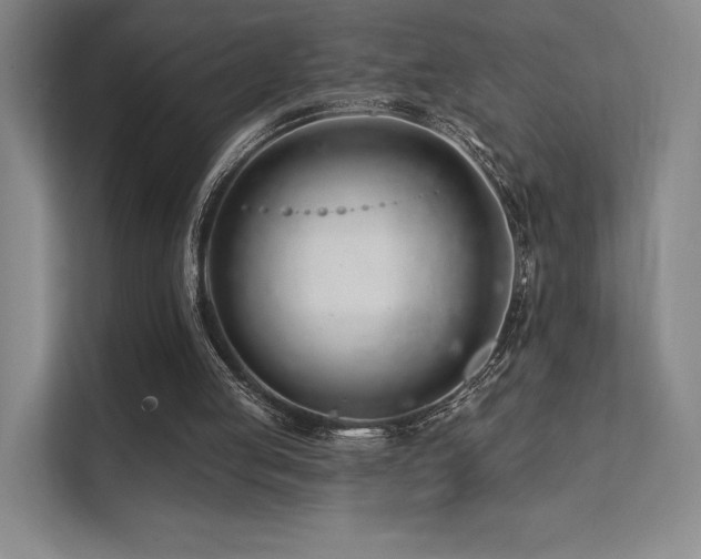 X0000113200053200909101120