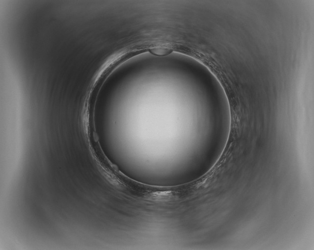 X0000113200054200909101120