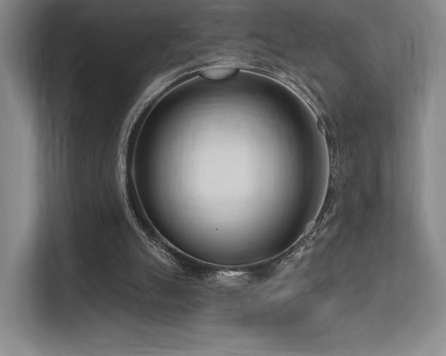 X0000113200055200909101120