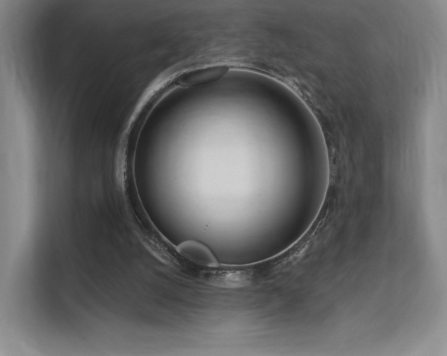 X0000113200056200909101120