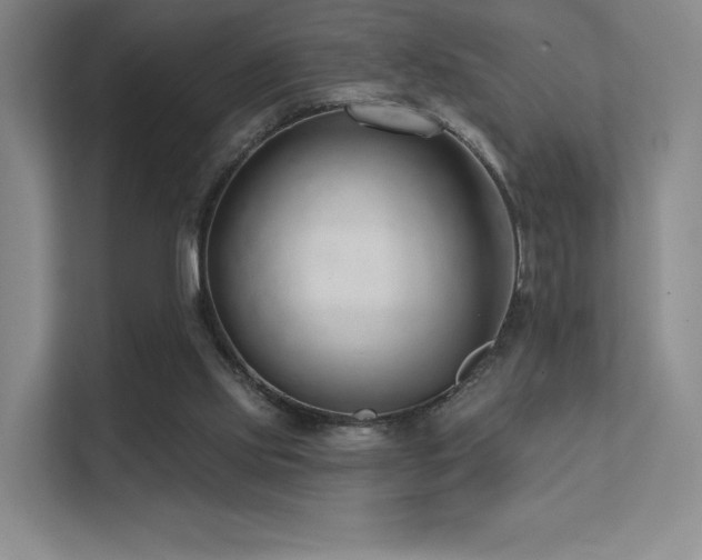 X0000113200061200909101120