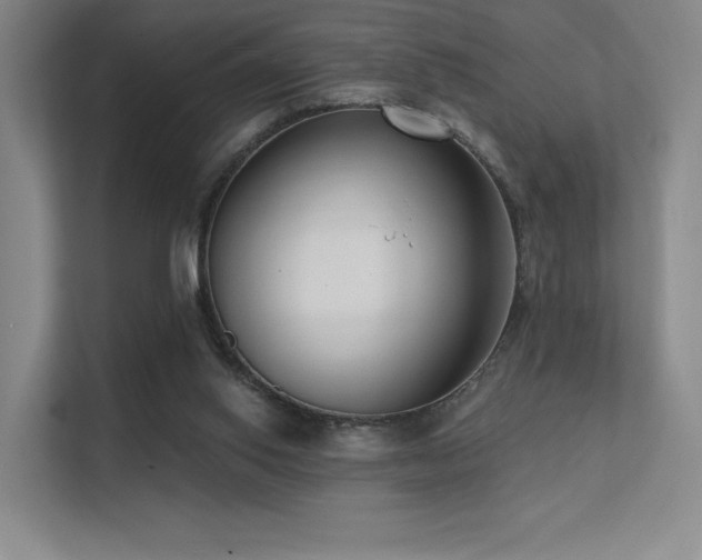 X0000113200062200909101120