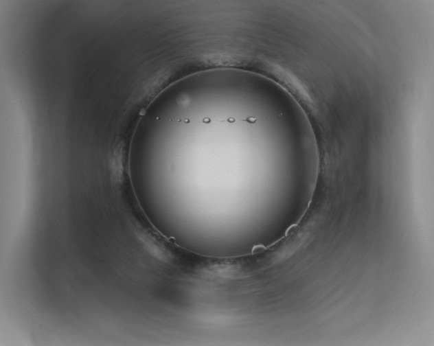 X0000113200065200909101120