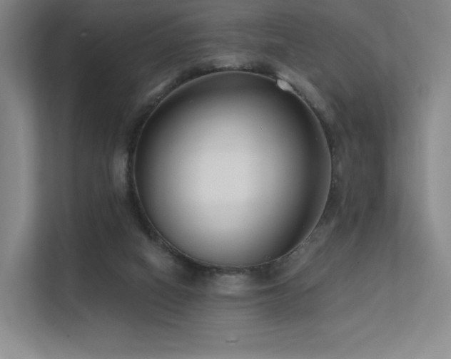 X0000113200066200909101120