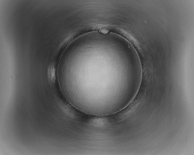 X0000113200067200909101120