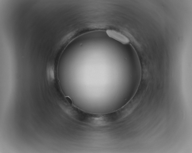 X0000113200068200909101120