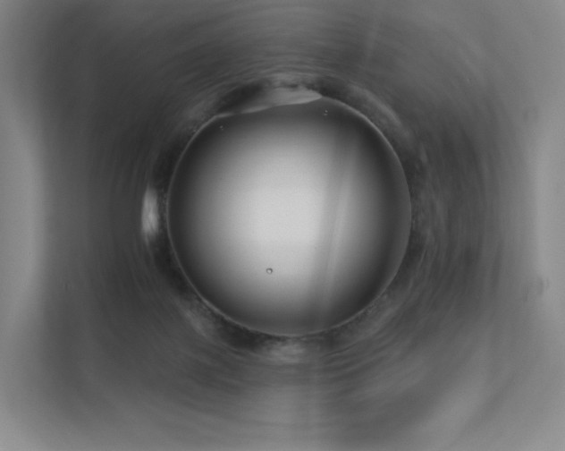 X0000113200075200909101120