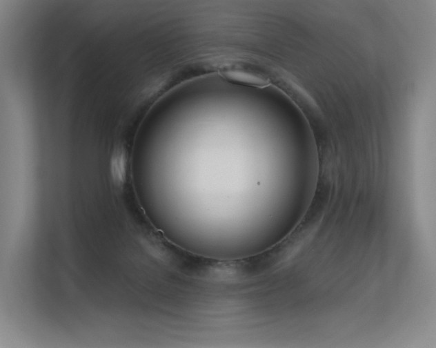 X0000113200076200909101120