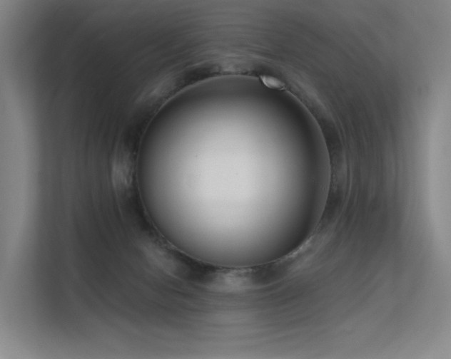 X0000113200078200909101120