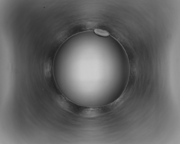 X0000113200082200909101120