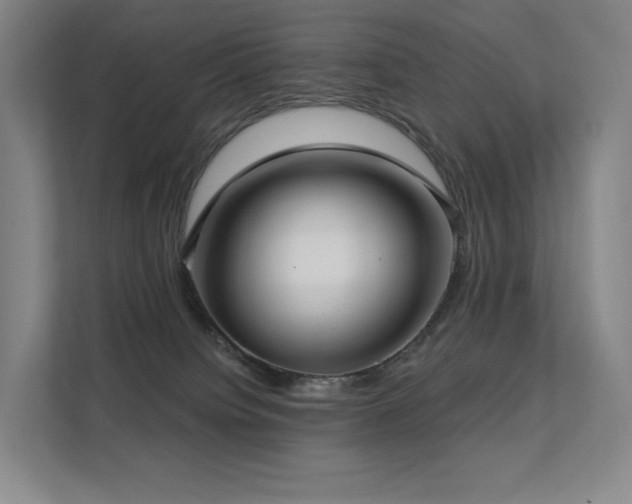 X0000113200084200909101120