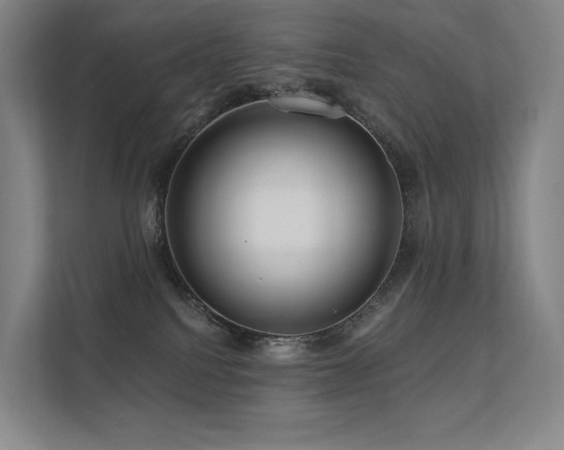 X0000113200088200909101120