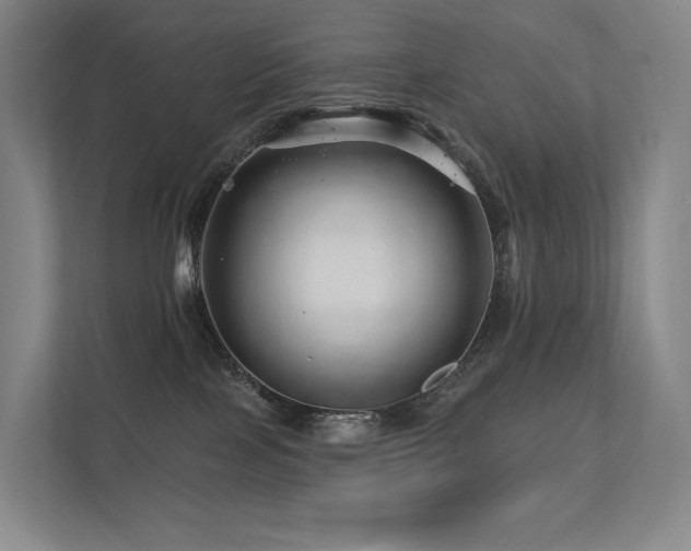 X0000113200089200909101120