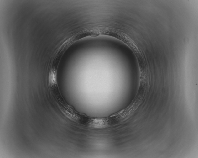 X0000113200095200909101120